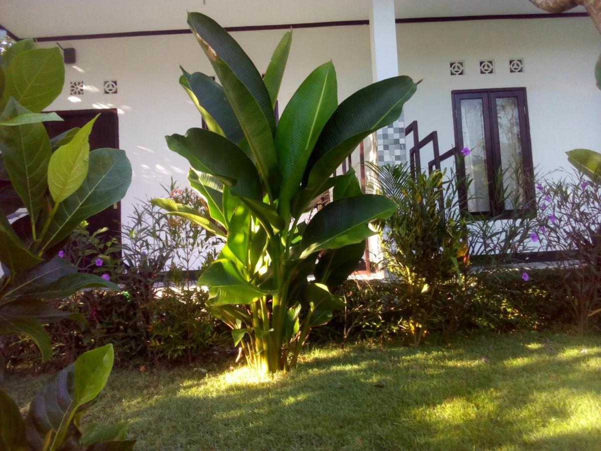 Ariata Arya Hostel Kuta  외부 사진