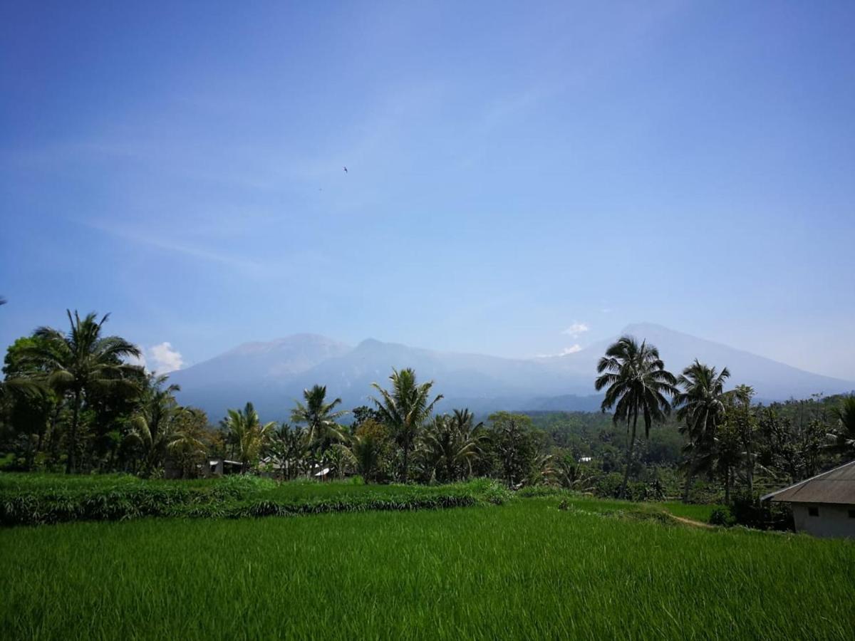 Ariata Arya Hostel Kuta  외부 사진